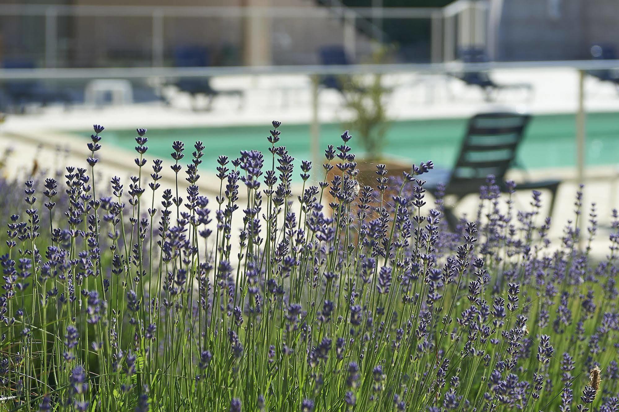 Cit'Hotel Les Alizes Limoges Dış mekan fotoğraf